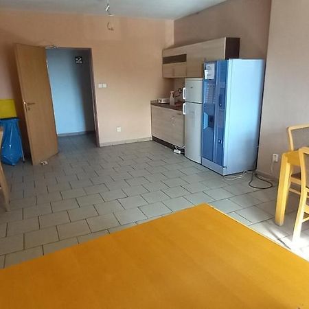 Expres Atack Penzion Brno Bagian luar foto